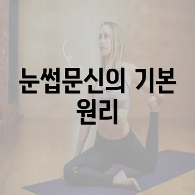 눈썹문신의 기본 원리