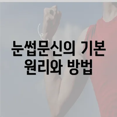 눈썹문신의 기본 원리와 방법