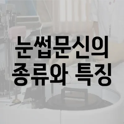 눈썹문신의 종류와 특징