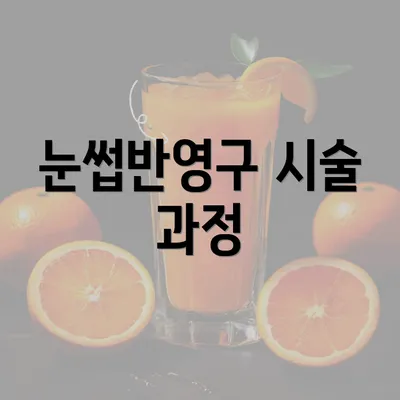 눈썹반영구 시술 과정