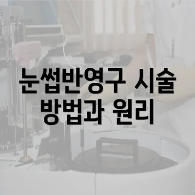 눈썹반영구 시술 방법과 원리