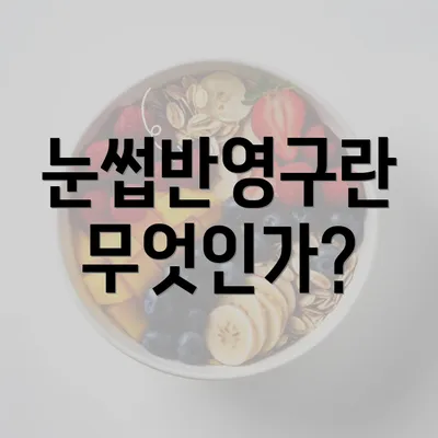 눈썹반영구란 무엇인가?