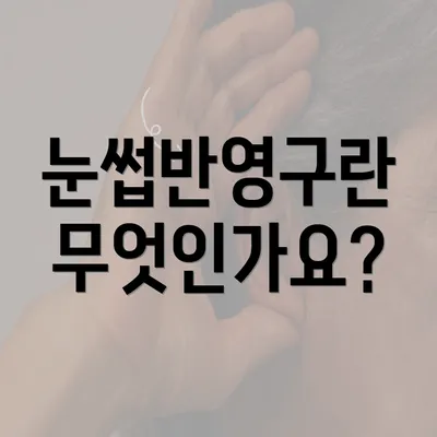 눈썹반영구란 무엇인가요?