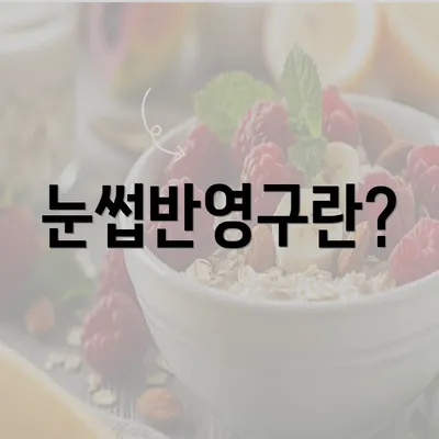 눈썹반영구란?