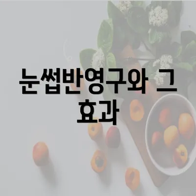 눈썹반영구와 그 효과