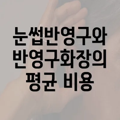 눈썹반영구와 반영구화장의 평균 비용