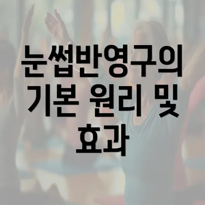 눈썹반영구의 기본 원리 및 효과