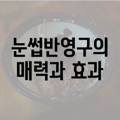 눈썹반영구의 매력과 효과