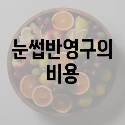 눈썹반영구의 비용