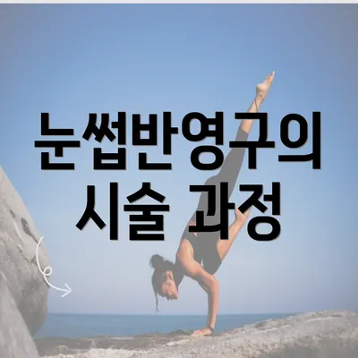 눈썹반영구의 시술 과정