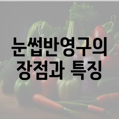 눈썹반영구의 장점과 특징