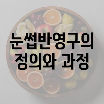 눈썹반영구의 정의와 과정