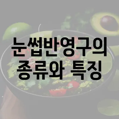 눈썹반영구의 종류와 특징