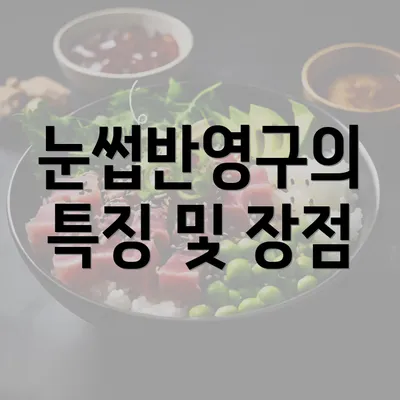 눈썹반영구의 특징 및 장점