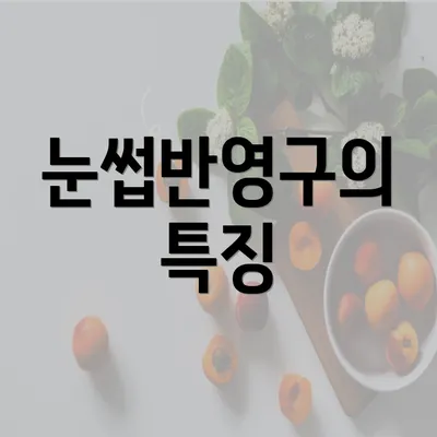 눈썹반영구의 특징