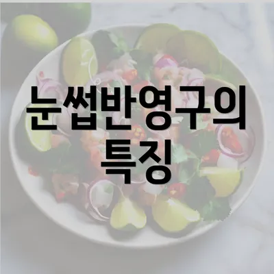 눈썹반영구의 특징