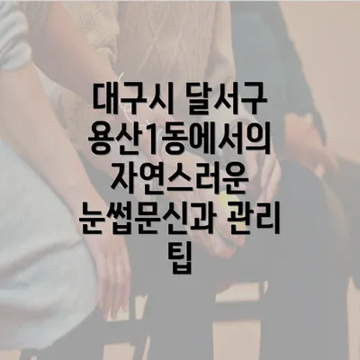 대구시 달서구 용산1동에서의 자연스러운 눈썹문신과 관리 팁