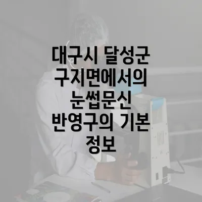 대구시 달성군 구지면에서의 눈썹문신 반영구의 기본 정보