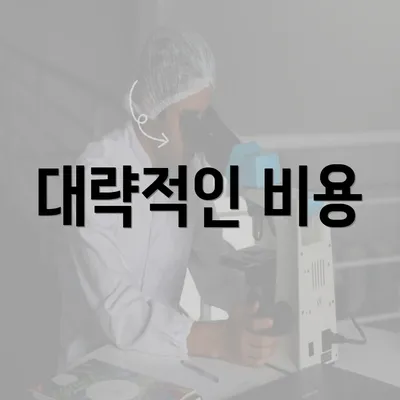 대략적인 비용