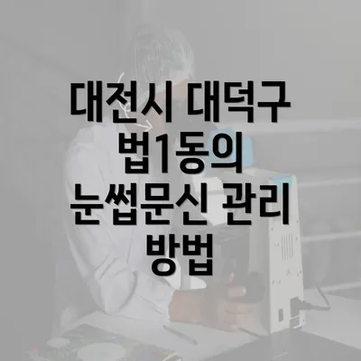 대전시 대덕구 법1동의 눈썹문신 관리 방법