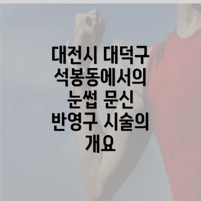 대전시 대덕구 석봉동에서의 눈썹 문신 반영구 시술의 개요