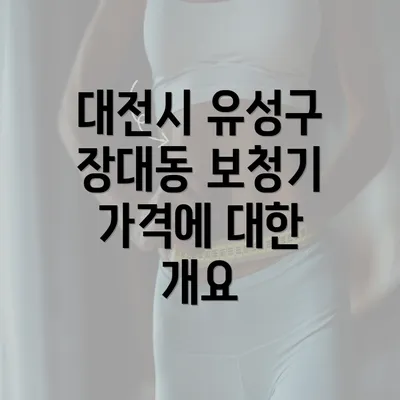 대전시 유성구 장대동 보청기 가격에 대한 개요