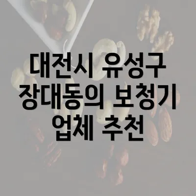 대전시 유성구 장대동의 보청기 업체 추천