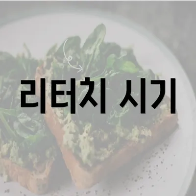 리터치 시기