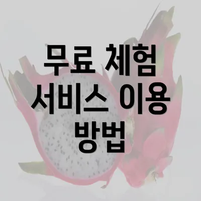 무료 체험 서비스 이용 방법