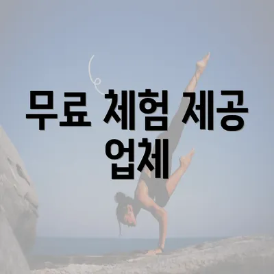 무료 체험 제공 업체