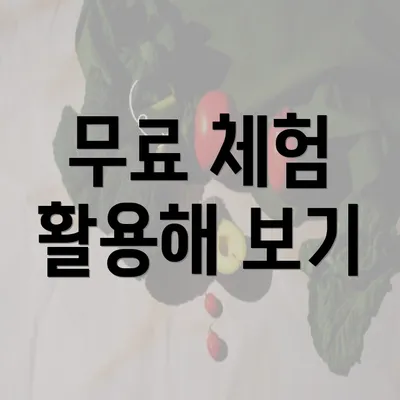 무료 체험 활용해 보기