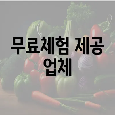 무료체험 제공 업체