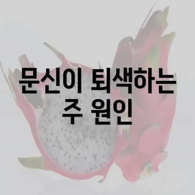 문신이 퇴색하는 주 원인