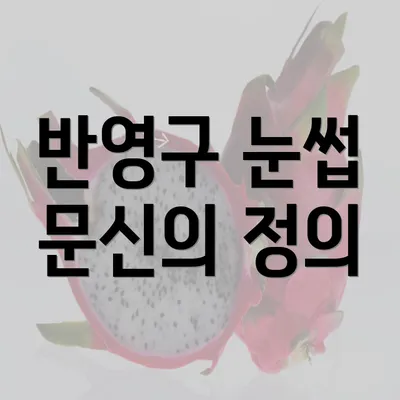 반영구 눈썹 문신의 정의