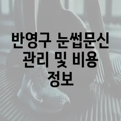 반영구 눈썹문신 관리 및 비용 정보