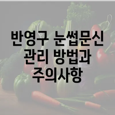 반영구 눈썹문신 관리 방법과 주의사항