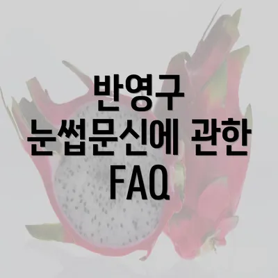 반영구 눈썹문신에 관한 FAQ