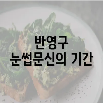 반영구 눈썹문신의 기간