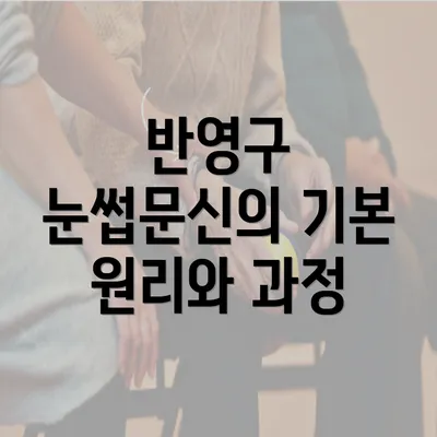 반영구 눈썹문신의 기본 원리와 과정