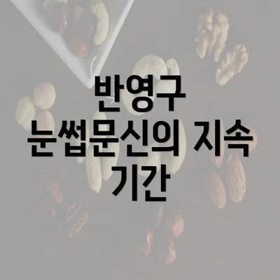 반영구 눈썹문신의 지속 기간