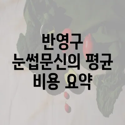 반영구 눈썹문신의 평균 비용 요약