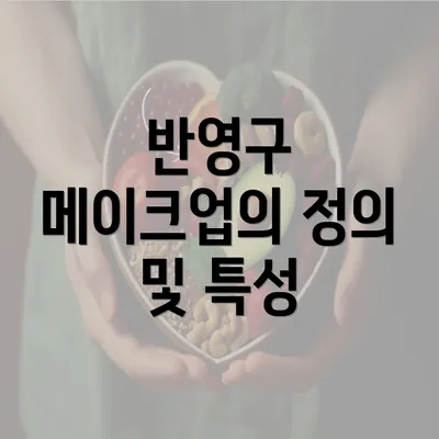 반영구 메이크업의 정의 및 특성