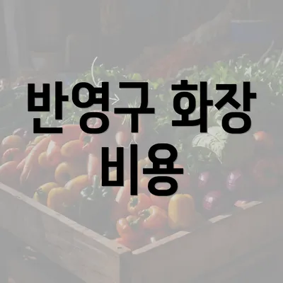 반영구 화장 비용