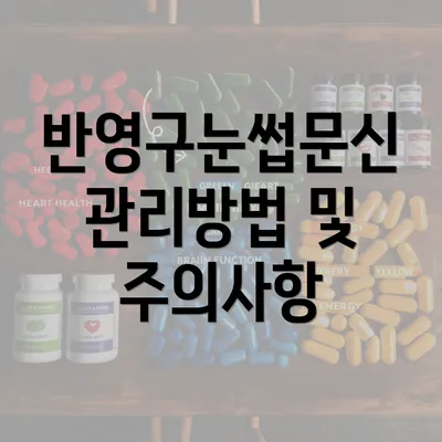 반영구눈썹문신 관리방법 및 주의사항