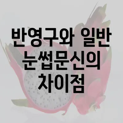 반영구와 일반 눈썹문신의 차이점