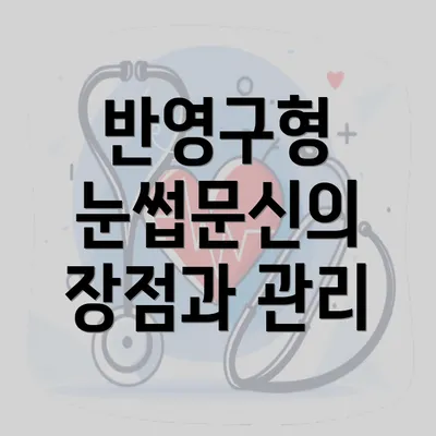 반영구형 눈썹문신의 장점과 관리