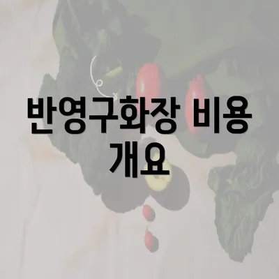 반영구화장 비용 개요