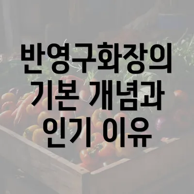 반영구화장의 기본 개념과 인기 이유