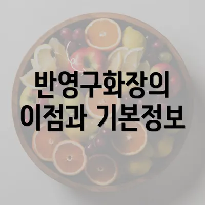 반영구화장의 이점과 기본정보