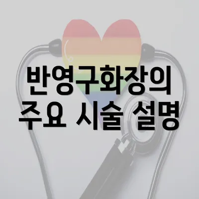 반영구화장의 주요 시술 설명